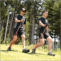 ノルディック ウォーキングの効果